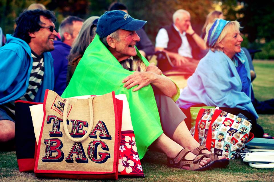The HandleBards' Audience