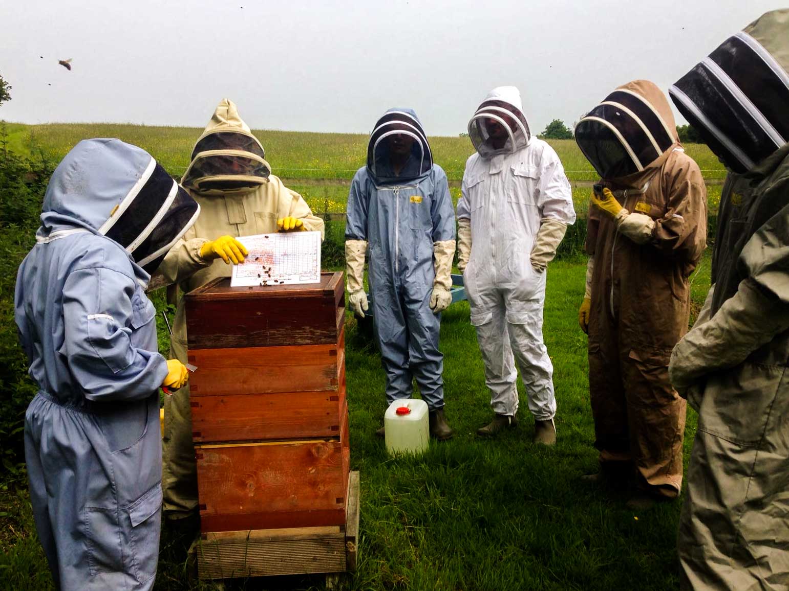 The HandleBards Go Bee-Keeping