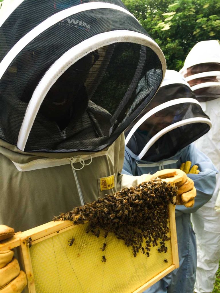 The HandleBards Beekeeping